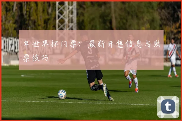 年世界杯门票:最新开售信息与购票技巧